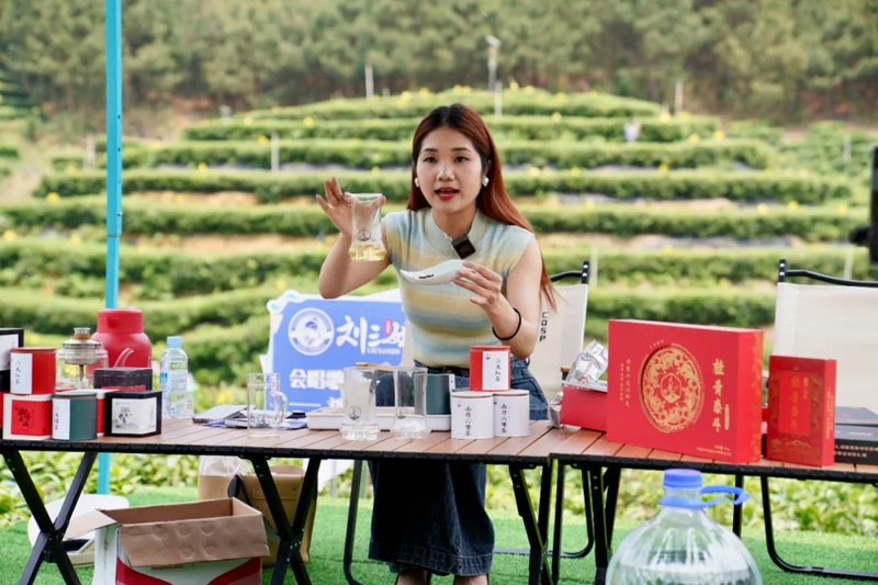 关于歌声悠扬 茶韵飘香！南丹第七届六龙茶文化旅游活动开幕的内容(12)