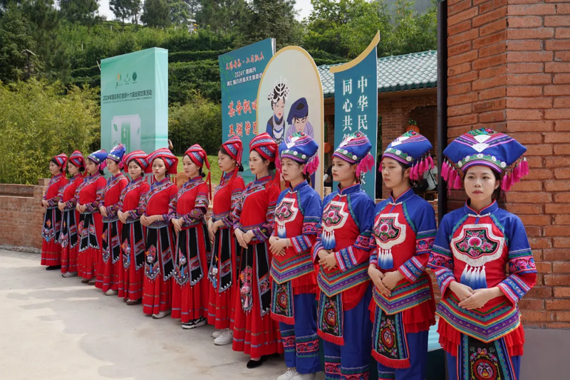 关于歌声悠扬 茶韵飘香！南丹第七届六龙茶文化旅游活动开幕的内容(9)