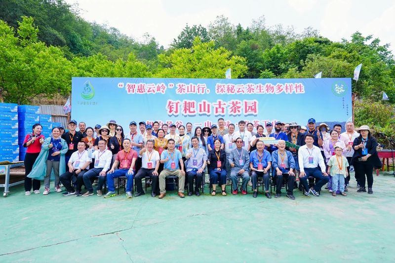 有关于“智惠云岭”茶山行·探秘云茶生物多样性的消息(26)