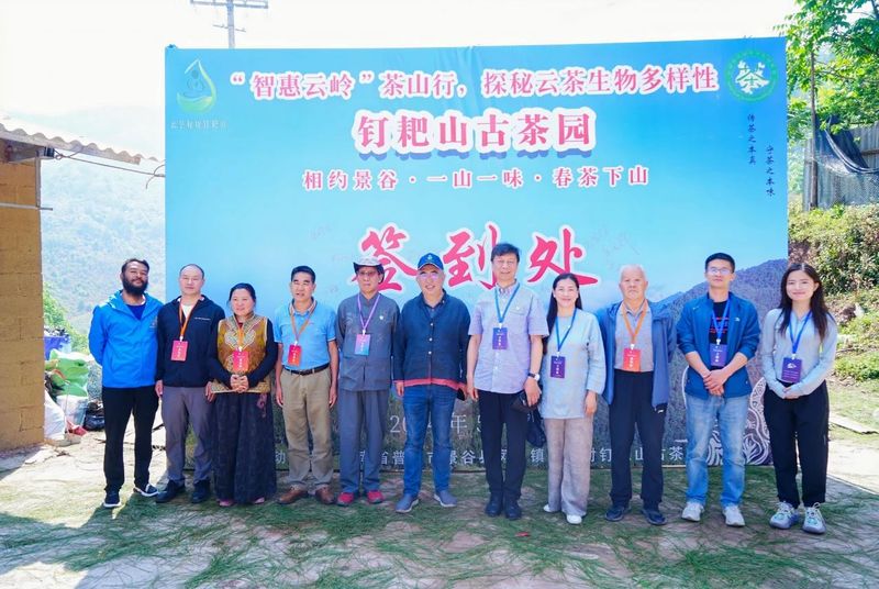 有关于“智惠云岭”茶山行·探秘云茶生物多样性的消息(2)
