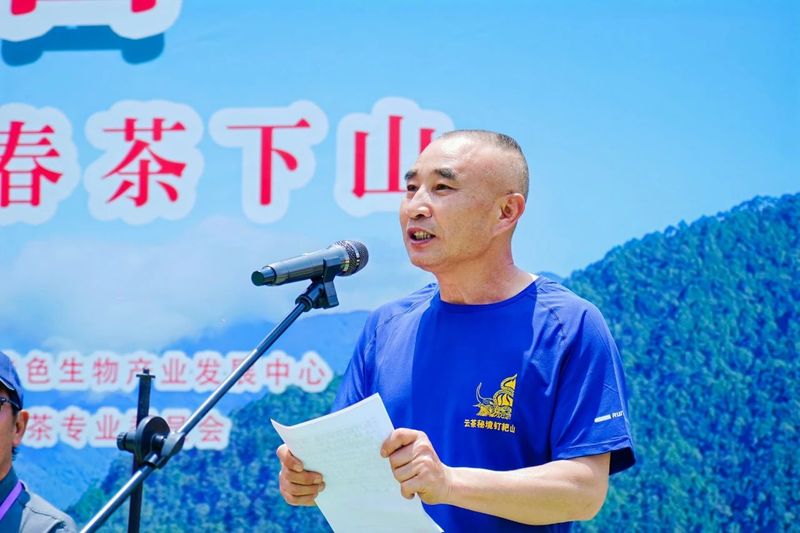 有关于“智惠云岭”茶山行·探秘云茶生物多样性的消息(10)