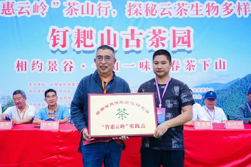 有关于“智惠云岭”茶山行·探秘云茶生物多样性的消息(5)