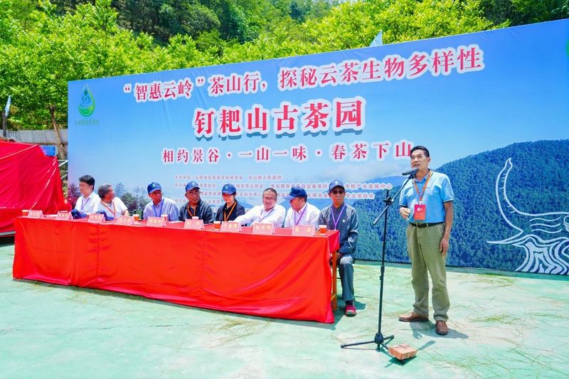 有关于“智惠云岭”茶山行·探秘云茶生物多样性的消息(16)