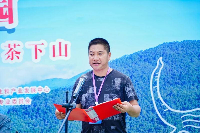 有关于“智惠云岭”茶山行·探秘云茶生物多样性的消息(9)