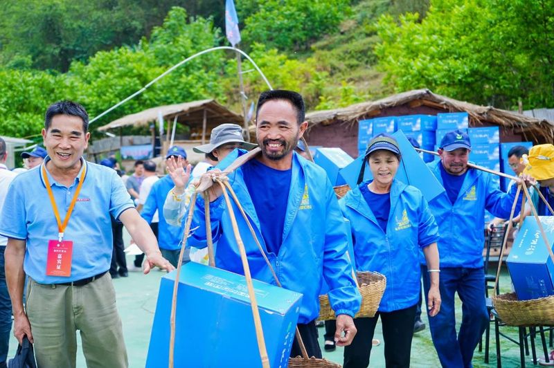 有关于“智惠云岭”茶山行·探秘云茶生物多样性的消息(25)