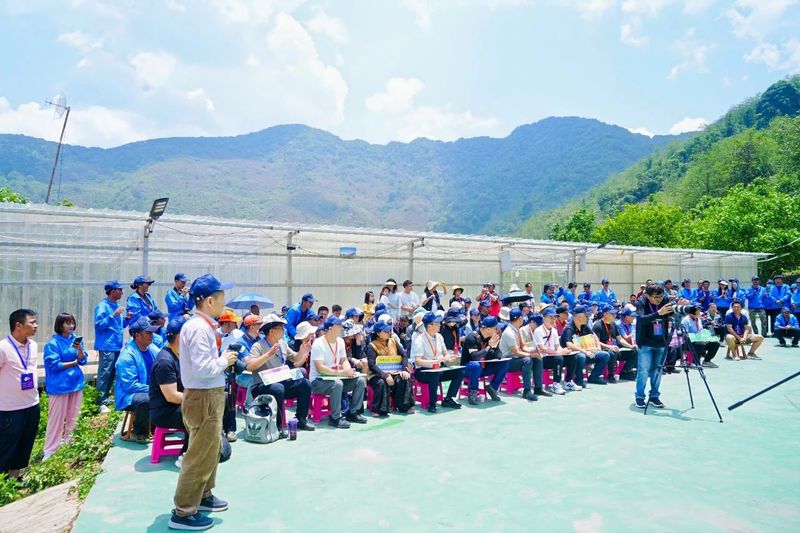 有关于“智惠云岭”茶山行·探秘云茶生物多样性的消息(11)