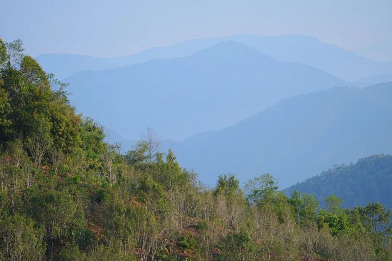 有关于“智惠云岭”茶山行·探秘云茶生物多样性的消息(18)
