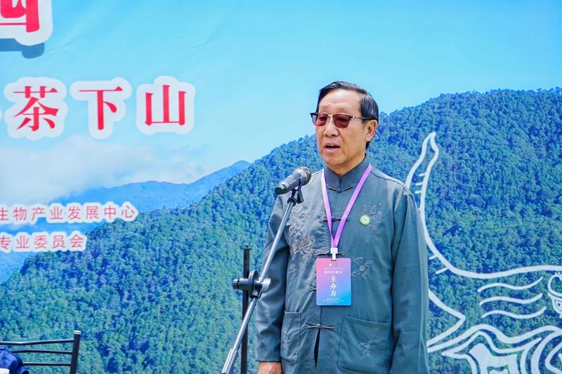 有关于“智惠云岭”茶山行·探秘云茶生物多样性的消息(12)