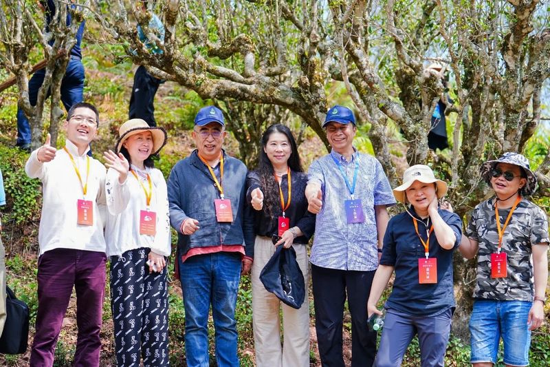 有关于“智惠云岭”茶山行·探秘云茶生物多样性的消息(3)