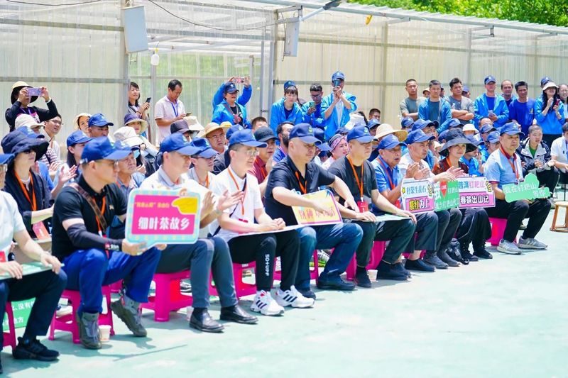 有关于“智惠云岭”茶山行·探秘云茶生物多样性的消息(21)