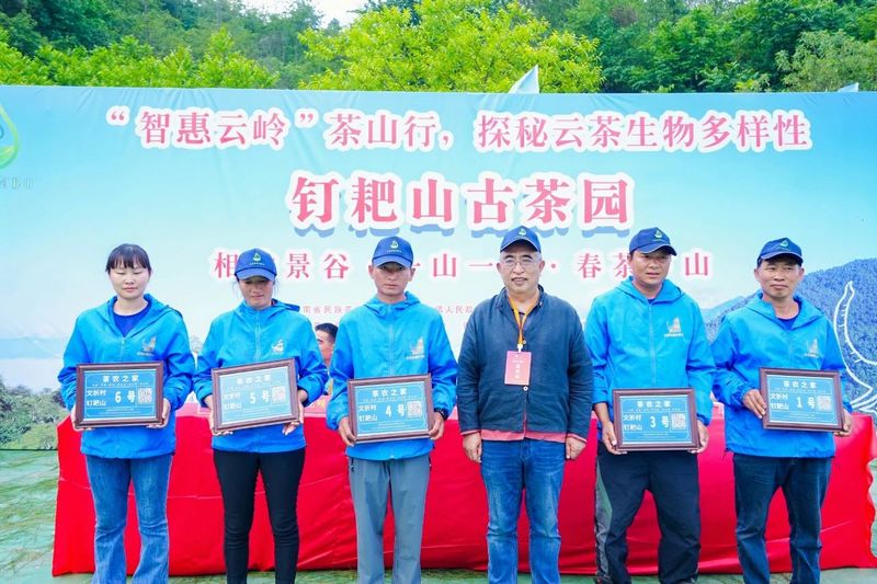 有关于“智惠云岭”茶山行·探秘云茶生物多样性的消息(7)