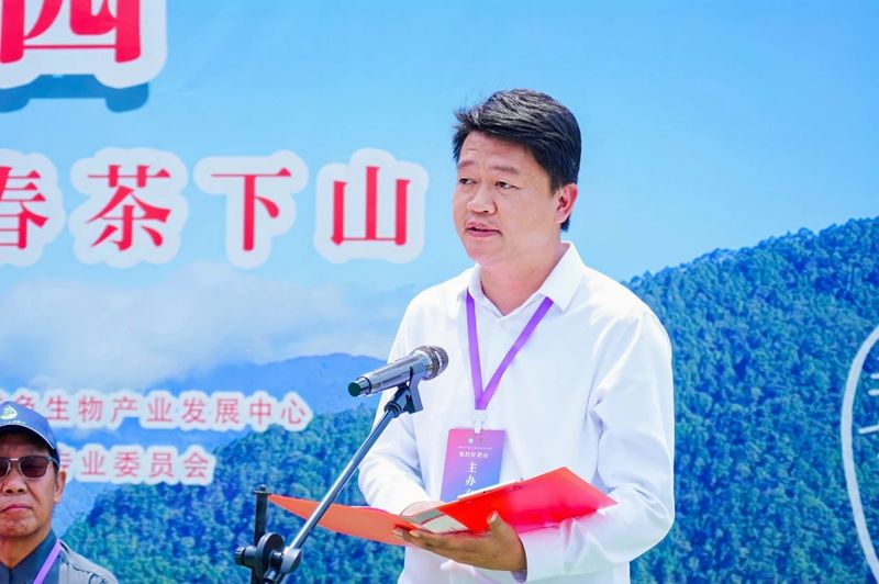 有关于“智惠云岭”茶山行·探秘云茶生物多样性的消息(8)