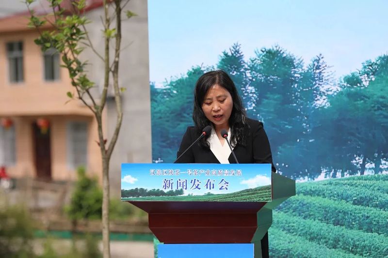 关于安康汉滨：召开陕茶一号茶产业高质量发展新闻发布会的新闻(2)