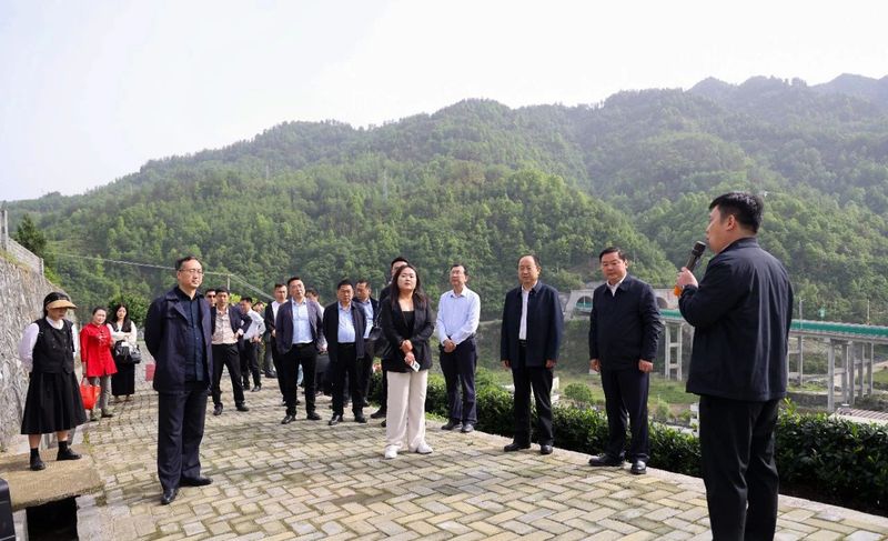 关于安康汉滨：召开陕茶一号茶产业高质量发展新闻发布会的新闻(5)