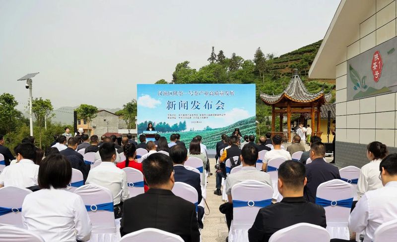 关于安康汉滨：召开陕茶一号茶产业高质量发展新闻发布会的新闻(4)
