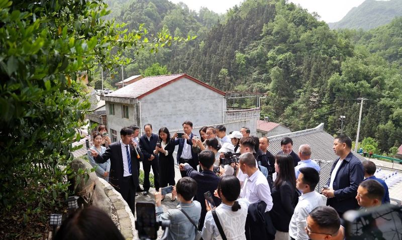 关于安康汉滨：召开陕茶一号茶产业高质量发展新闻发布会的新闻(6)