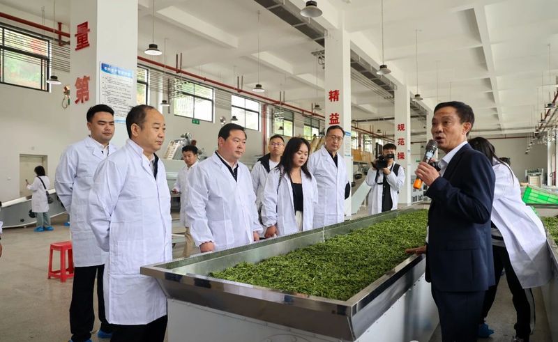 关于安康汉滨：召开陕茶一号茶产业高质量发展新闻发布会的新闻(7)