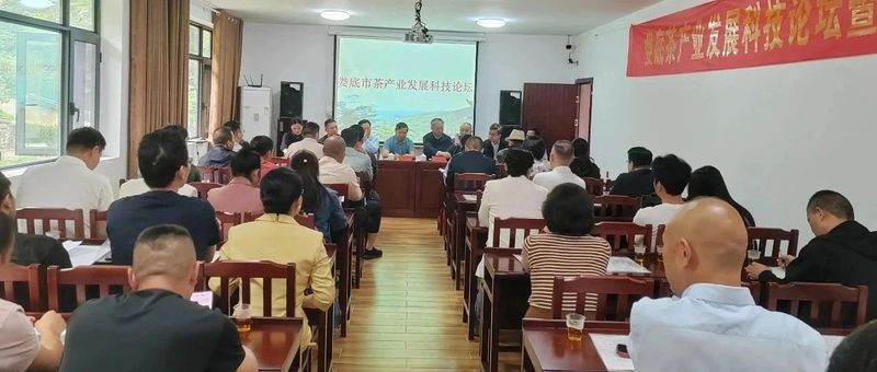 关于娄底“智”上发力——助推市域茶产业高质量发展的资讯