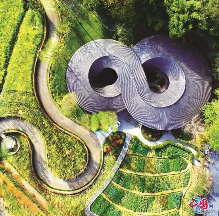 有关于四川崇州：一竹一茶，折射成都高水平开放的信息(10)