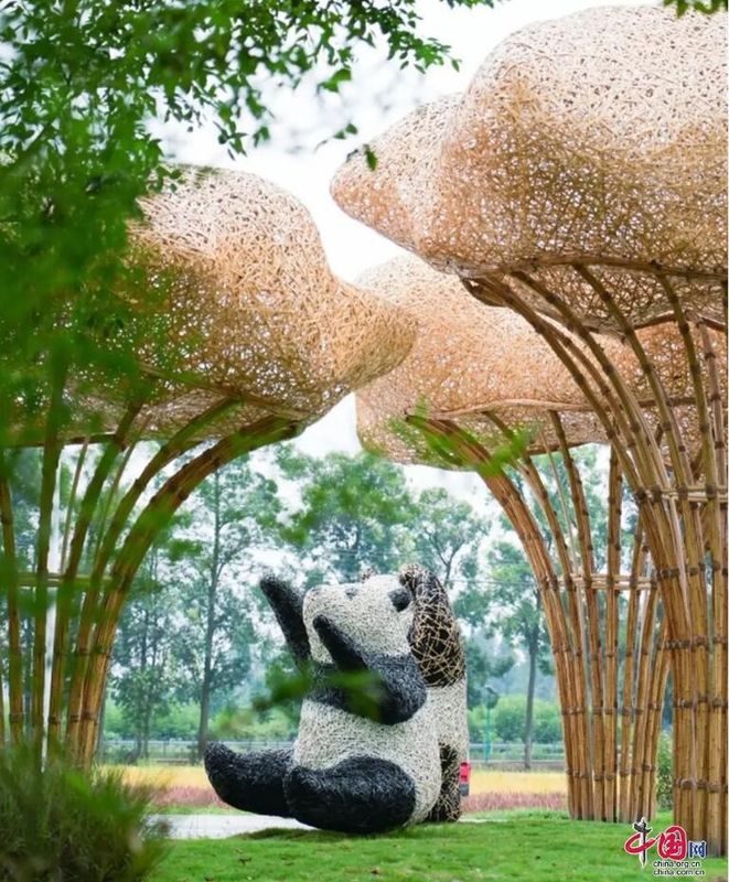 有关于四川崇州：一竹一茶，折射成都高水平开放的信息(6)