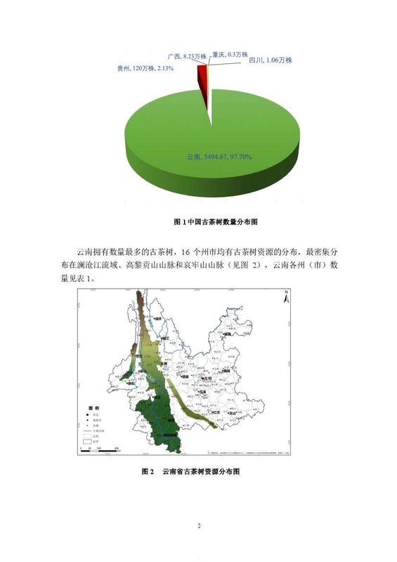 有关于《中国古茶树资源状况白皮书（2024）》发布 ：云南古茶树在全国占比97.7%的信息