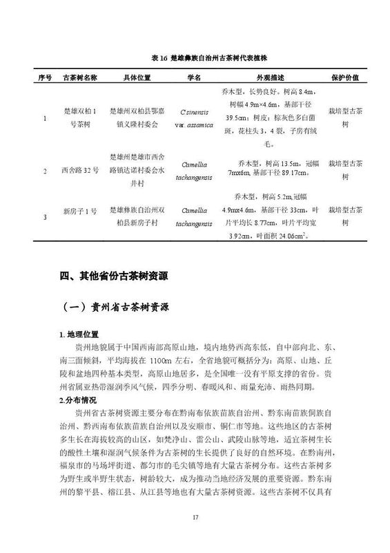 有关于《中国古茶树资源状况白皮书（2024）》发布 ：云南古茶树在全国占比97.7%的信息(10)