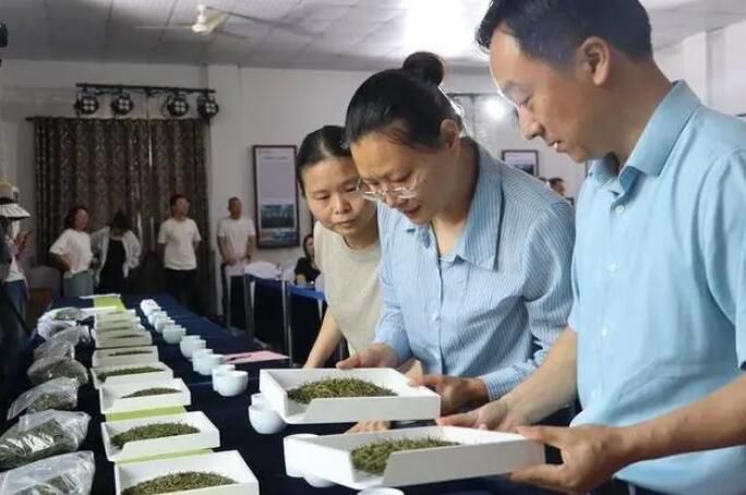 有关于谁是“茶王”？宁海茶叶产区11种绿茶“打擂”的新闻