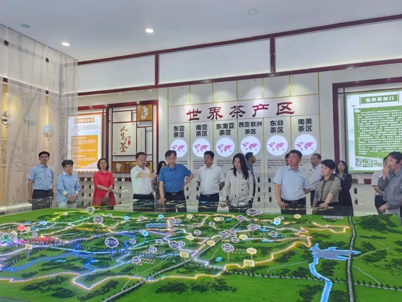 关于韩守信带队调研茶产业+文旅融合发展情况并考察科技服务产业链项目的消息