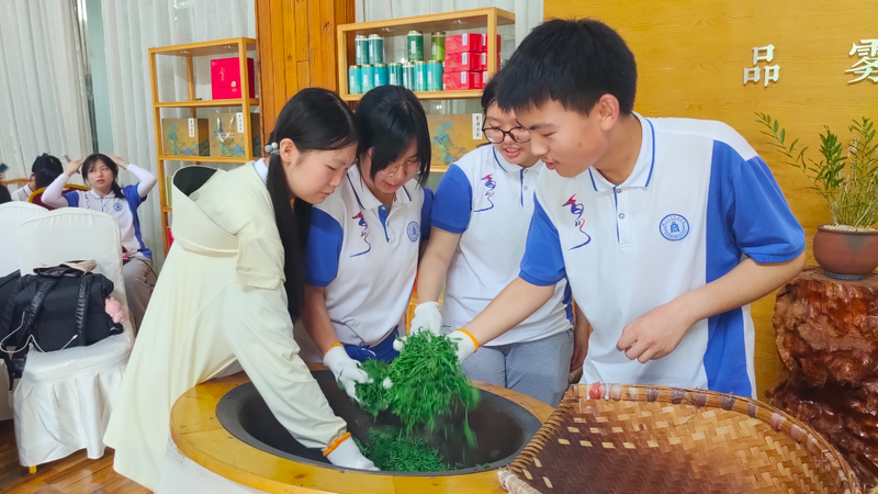 有关于“茶+教育”结硕果 蒙顶山茶文化传播再添“生力军”的内容(7)