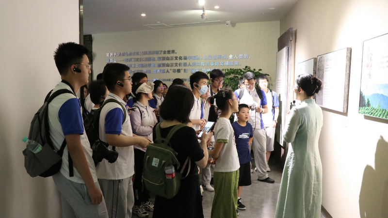 有关于“茶+教育”结硕果 蒙顶山茶文化传播再添“生力军”的内容
