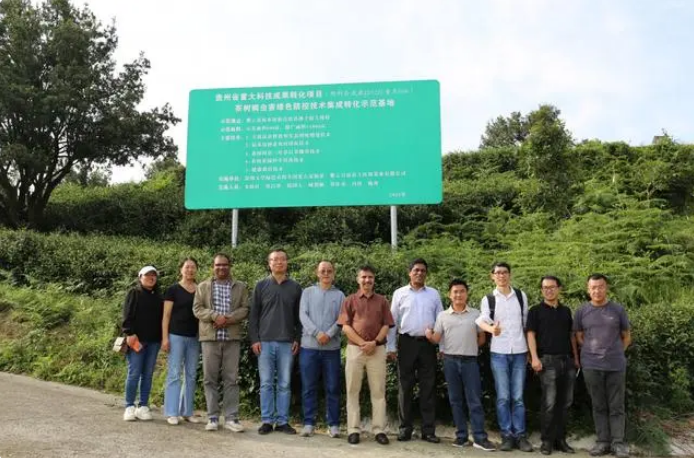 有关于贵州茶树下的“秘密”让斯里兰卡茶专家连连点赞的相关内容(1)