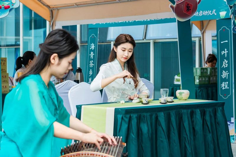 关于新区海青茶产业高质量发展暨茶文化传播系列活动正式启动的消息(9)