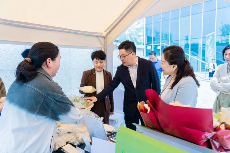 关于新区海青茶产业高质量发展暨茶文化传播系列活动正式启动的消息(8)