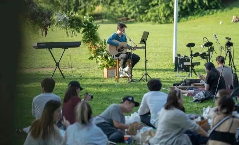 关于新区海青茶产业高质量发展暨茶文化传播系列活动正式启动的消息(23)