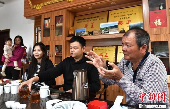 有关于“大陆阿里山”的台湾父子种茶人：两岸一杯茶的新闻(2)