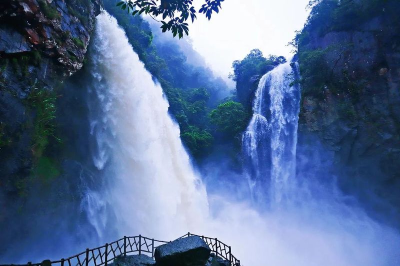 有关于福建仙游：一杯春茶香飘一座城的资讯(1)