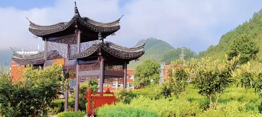 关于黔南职院毛尖茶科普教育基地 都匀市图书馆科普教育基地的最新消息