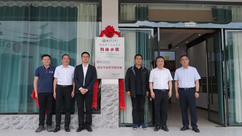 有关于湖南湘丰桑植白茶科技小院揭牌成立的最新消息