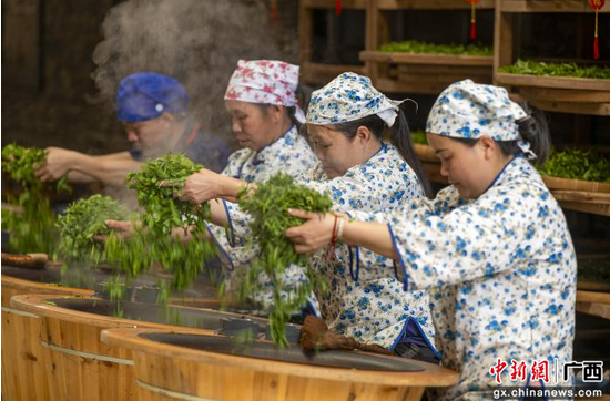 有关于广西梧州加快推动六堡茶产业与旅游业深度融合发展的最新消息(3)