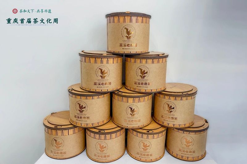 关于巫溪老鹰茶亮相重庆首届茶文化周的内容(6)