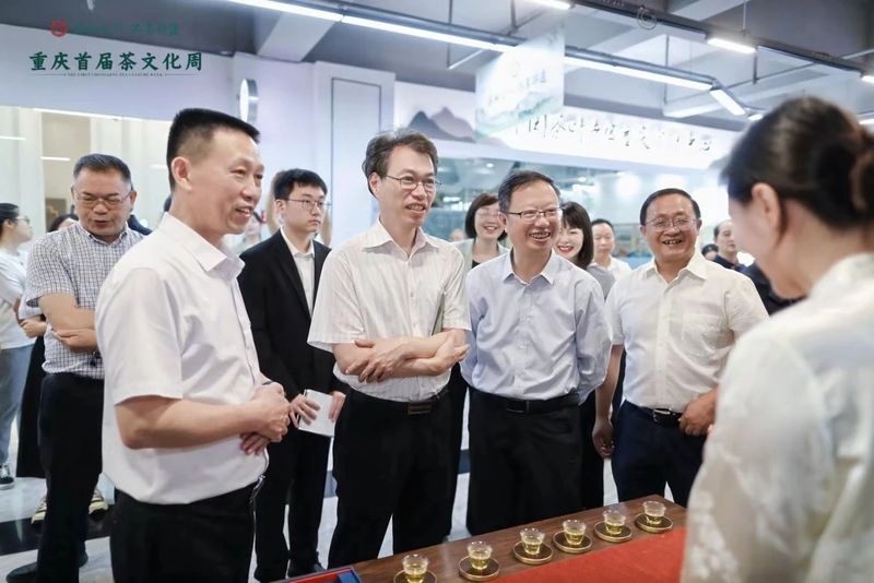 关于巫溪老鹰茶亮相重庆首届茶文化周的内容(5)