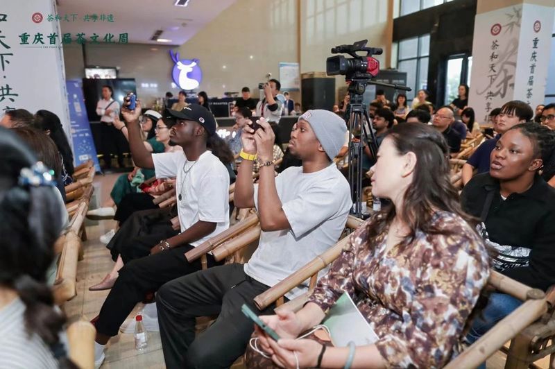 关于巫溪老鹰茶亮相重庆首届茶文化周的内容(4)