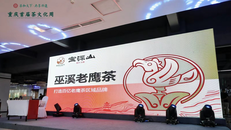 关于巫溪老鹰茶亮相重庆首届茶文化周的内容