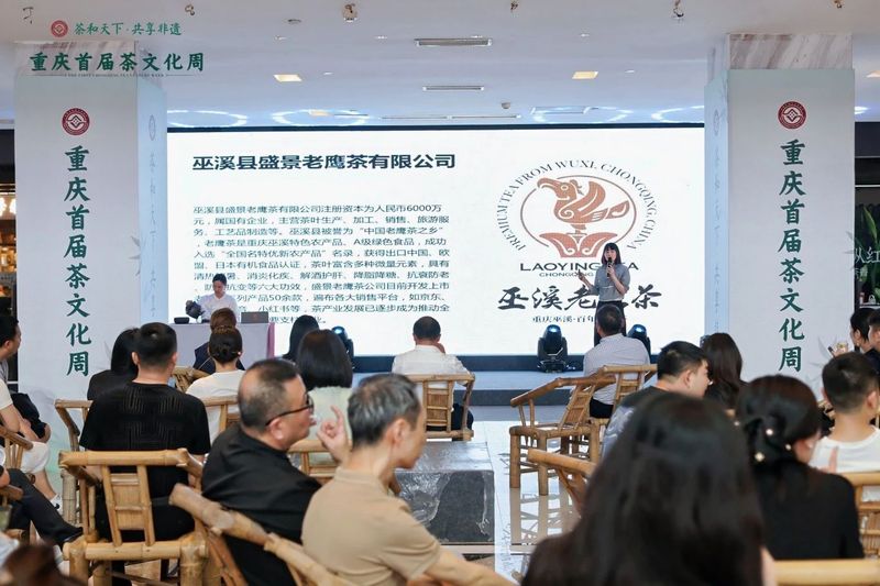 关于巫溪老鹰茶亮相重庆首届茶文化周的内容(7)