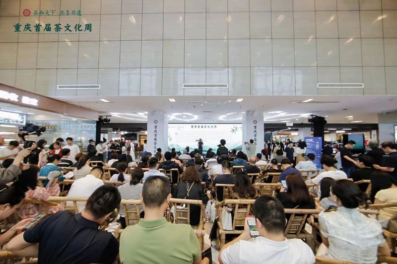 关于巫溪老鹰茶亮相重庆首届茶文化周的内容(3)