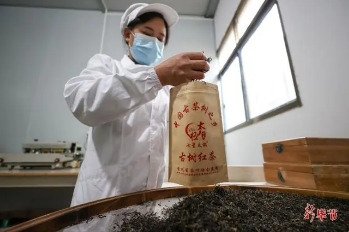 关于毕节茶，获国际大奖！的相关内容(1)