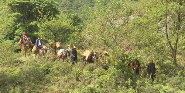 关于探寻茶马古道 传承文化遗产的相关信息(2)