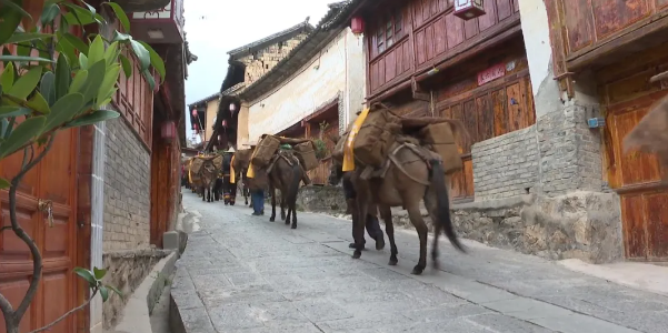 关于探寻茶马古道 传承文化遗产的相关信息(1)