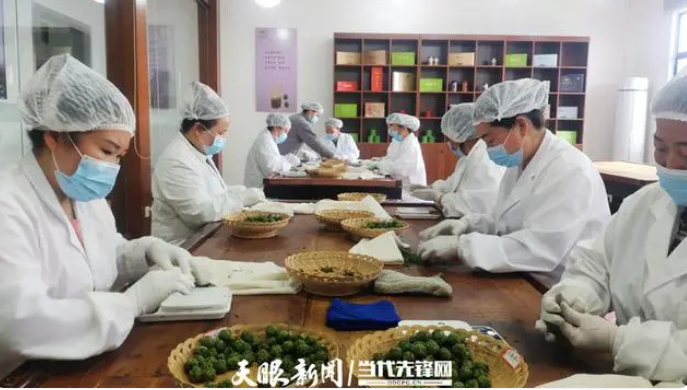 有关于雷山银球茶入选第十二届“中绿杯”全国 名优绿茶产品与包装五星产品的内容(1)