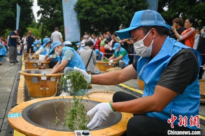 关于四川洪雅制茶人指尖上较量“真功夫”的信息(2)